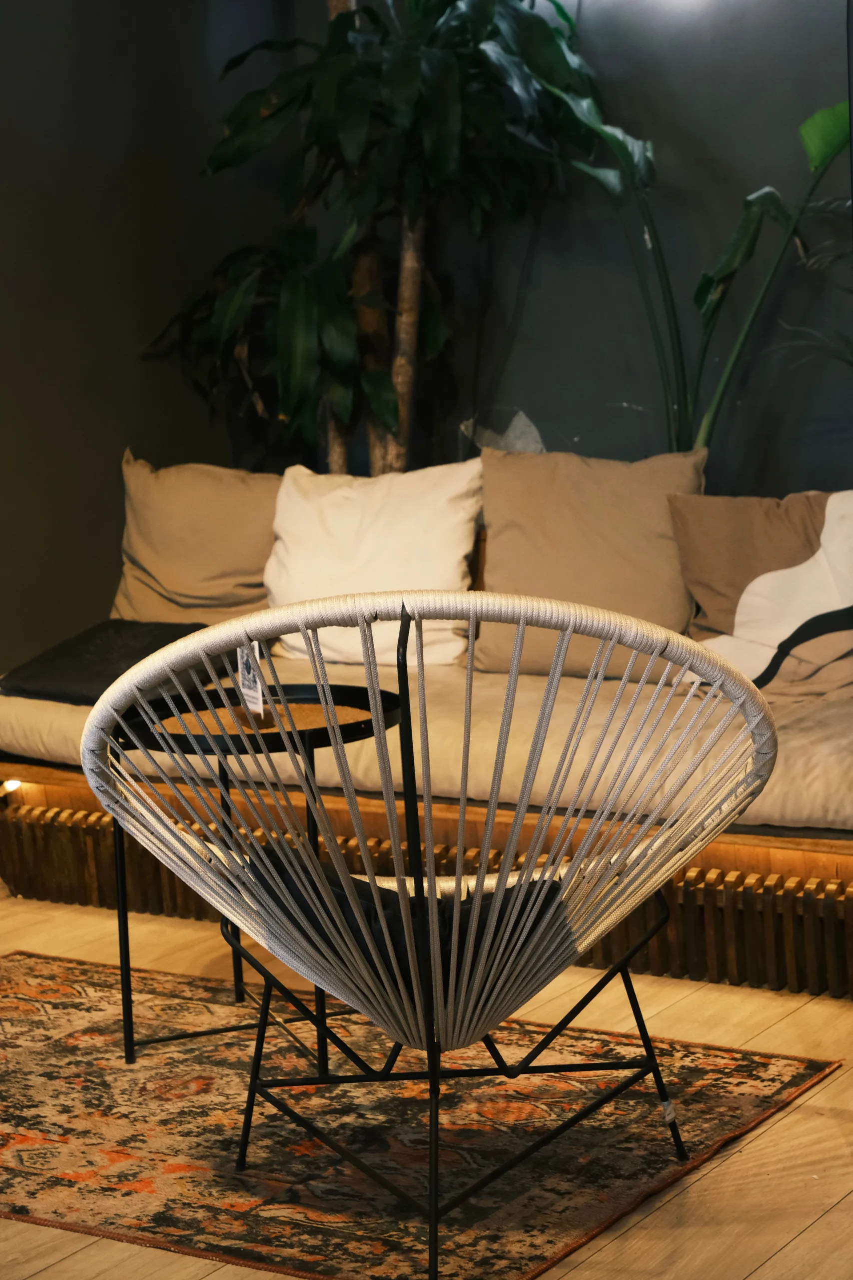 Cozy modern living room with contemporary sofa, woven armchair, area rug and greenery